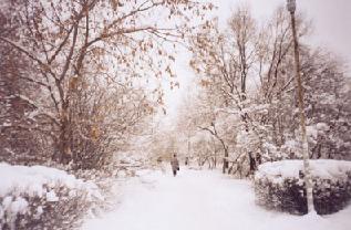 Ekaterinburgo en invierno
