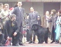 Публика замерла в ожидании объявления Чемпиона ЕВРАЗИИ-2000