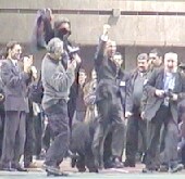 От радости хозяин Чемпиона ЕВРАЗИИ-2000 подпрыгнул до потолка